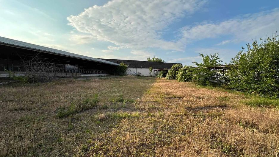 Teren 9.508 mp cu 2 fronturi stradale – Sofronea, Arad - Poză 6