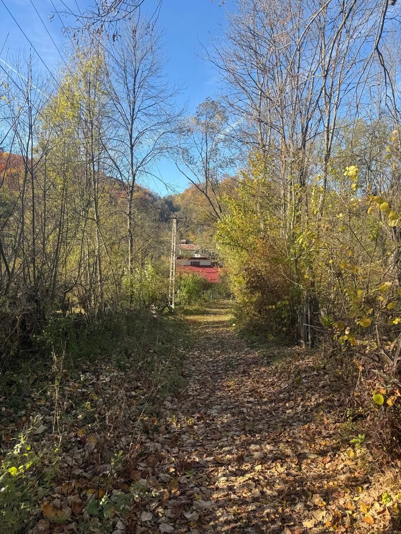Teren langa pădure 6400mp+casa demolabila-deschidere 35 ml - Poză 17