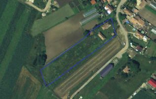 Teren cu construcție veche,  3505 m2,  front 24 ml, Jucu de Mijloc