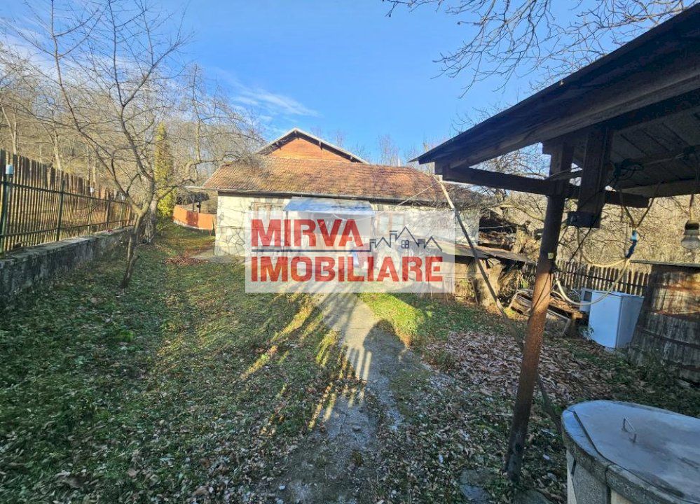 Vanzare casa plus anexa, teren 3843 mp, in Sat Pietriceaua - Poză 14