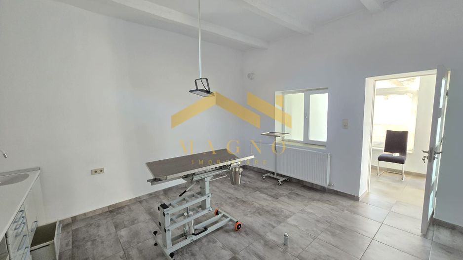 Casa de inchiriat in Vladimirescu (pretabil pentru Birou,Cabinet etc.) - Poză 15