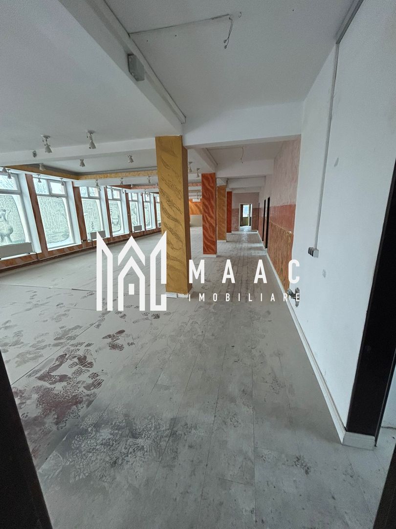 Spatiu Comercial | 335 mp | Zona Turnișor - Poză 2