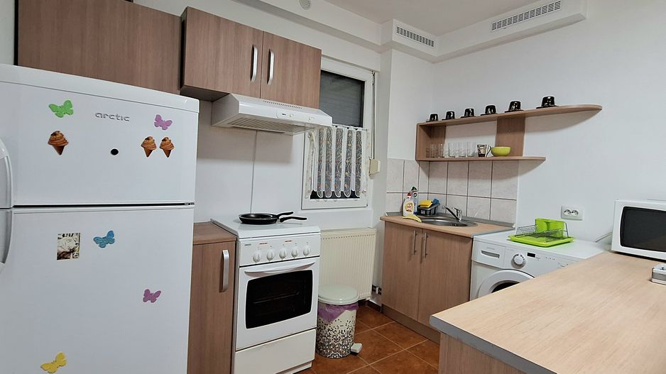 Apartament 2 camere - Take Ionescu - Poză 9
