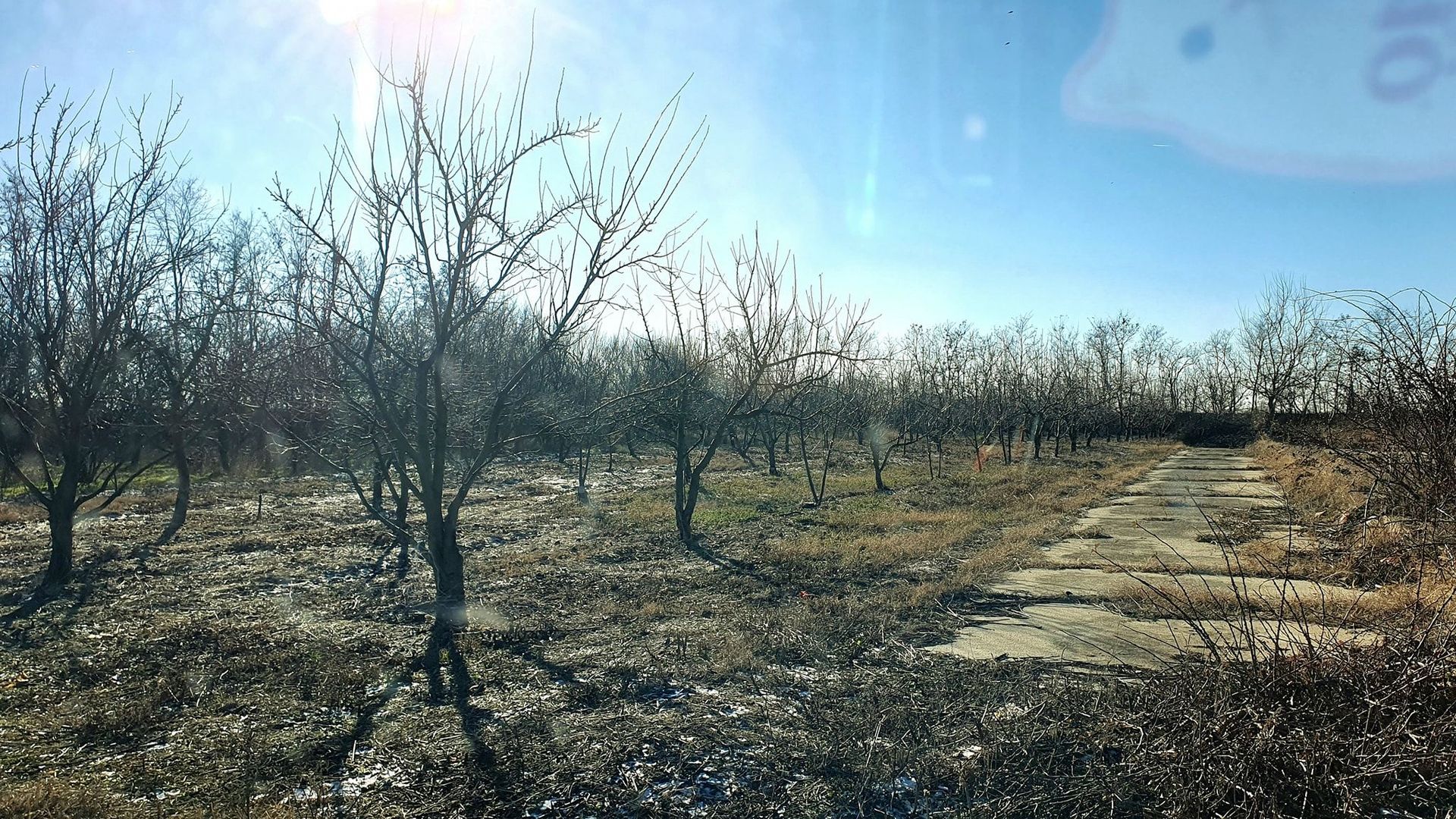 Vând teren intravilan 10 hectare Crevedia, cu gaze și curent. - Poză 12
