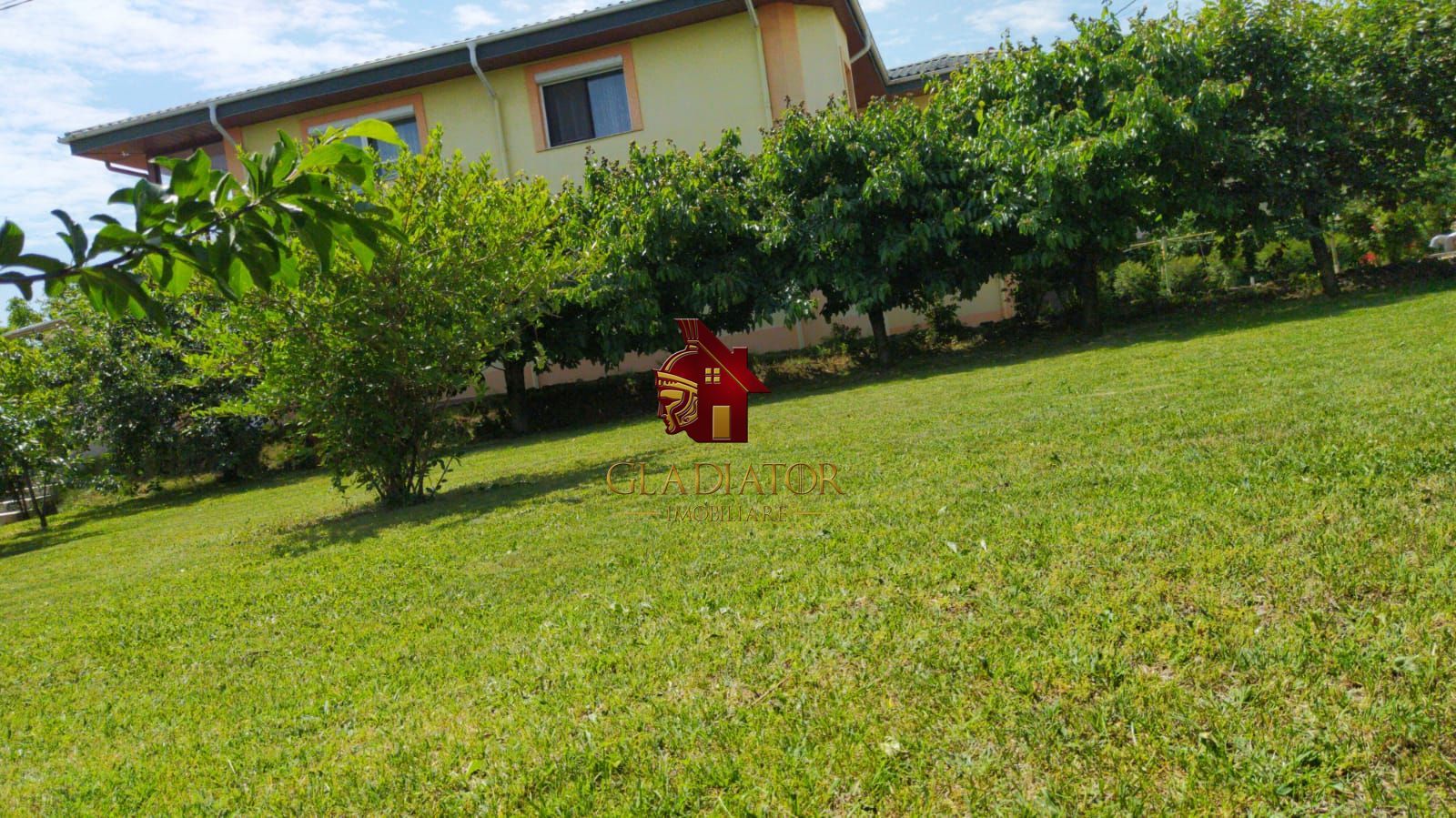 Vila impresionanta in Bucium - Visani - Str. Regina Maria - 2000 mp - Poză 13