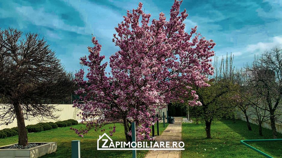 Unirii - Casa Zona Romcab -  400mp - 1259 mp teren - Garaj dublu - piscina - Poză 5