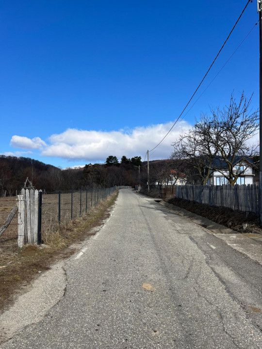 Teren Cicanesti Arges, la 10 KM de Transfagarasan - Comision 0% - Poză 4