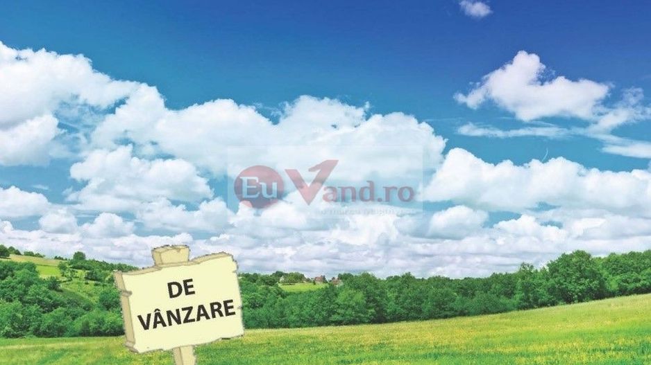 De vanzare 1600 mp. teren extravilan, com. Vanatori, 21E/mp - Poză 1