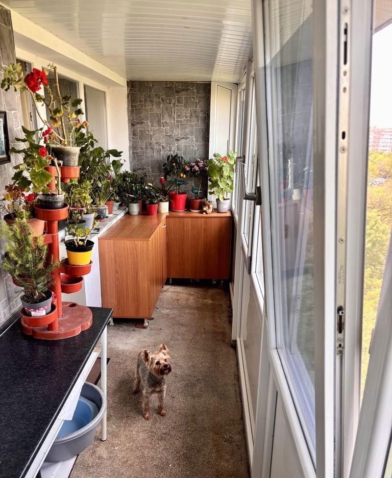 Apartament spatios cu doua camere, Aliorului, 80.000€ - Poză 3