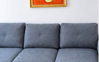 Camera zona Vasile Aron - Poză 2