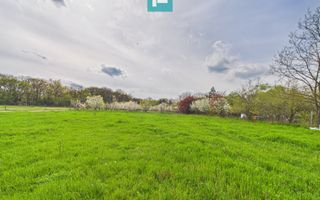 Teren intravilan, 820 mp, Pădure Giroc - Poză 2