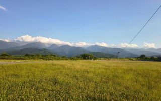 Teren extravilan de vânzare | Cârțișoara | 1800 mp - Poză 5