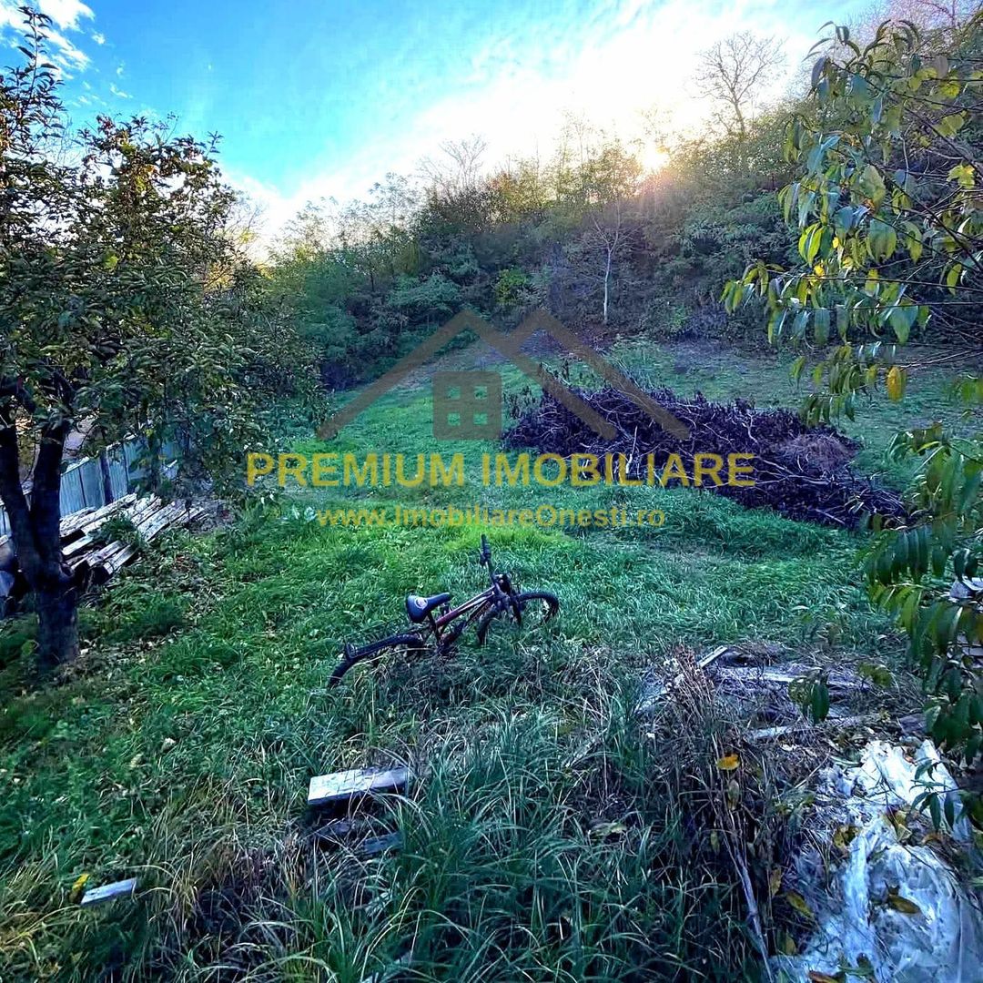 Casă individuală din lemn - Caiuti - Poză 6