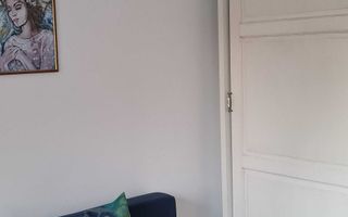 BRASADAS vinde ap 3 cam Careiului. - Poză 3