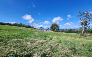 De vanzare 2965 mp teren intravilan, toate utilitatile, Oarda de Sus - Poză 4