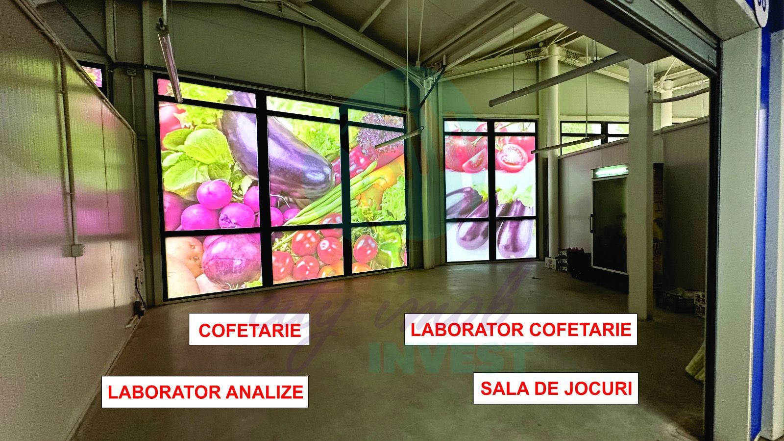 Spatii comerciale de inchiriat in PIATA DELFINULUI - Poză 12