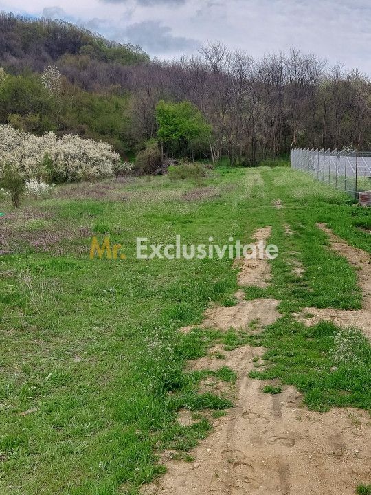 Teren Topoloveni - 3670 mp - langa padure, aproape de Centrul orasului - Poză 4