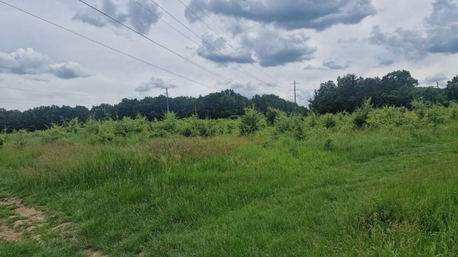 Teren extravilan Pitesti - str. Balotesi!! - Poză 10