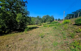 Teren intravilan 2322 mp, Păcuri – vedere superbă spre pădure! C.U. - Poză 11