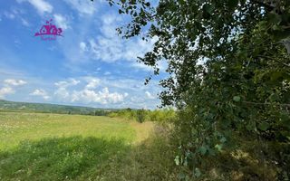 Teren de vanzare in Meziad. - Poză 1