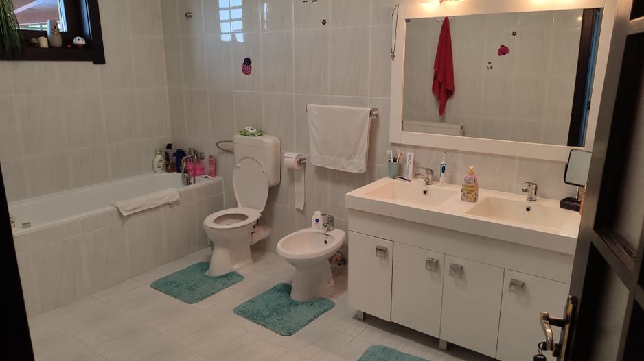 Sanadrei, Individual, Suprafate Generoasa, Garaj, Aspect Deosebit. COMISION 0 - Poză 26