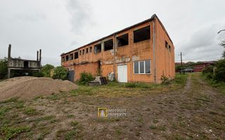 Hală industrială de vânzare – Sebiș, jud. Arad - Poză 4