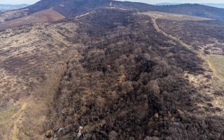 Teren în Ghioroc pe deal - Poză 4