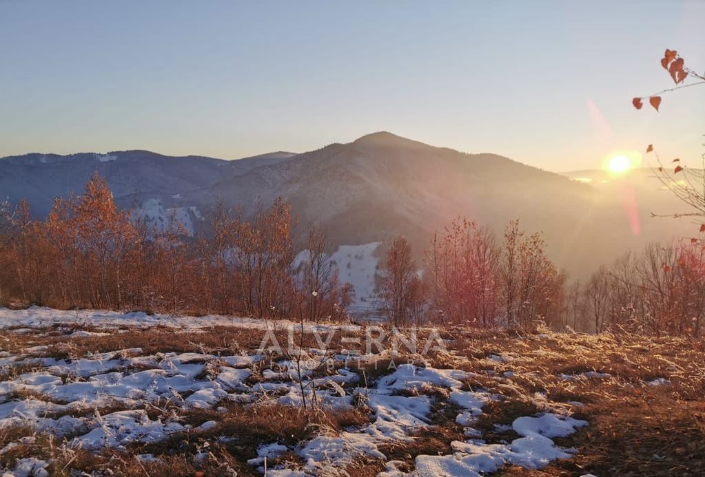 OPORTUNITATE | Teren intravilan | 34.625 mp | Plopi - Valea Ierii - Poză 8