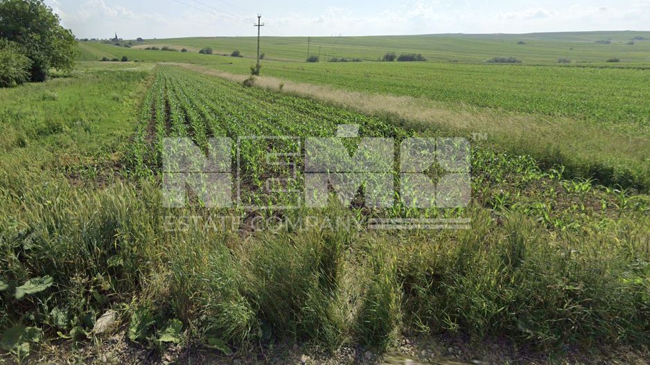 Teren intravilan 1.822 mp | Sfântul Ilie – UAT Șcheia | 145.000 € - Poză 3