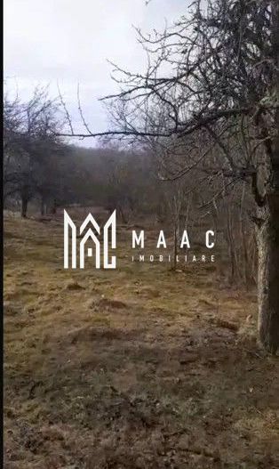 Teren | Rășinari | Trainei | 3139 Mp | - Poză 3