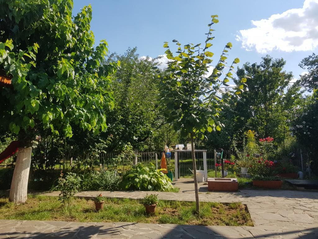 vila indiv+1198mp teren/pe DN4(sosBucuresti) in Frumusani/jud.Calarasi - Poză 10