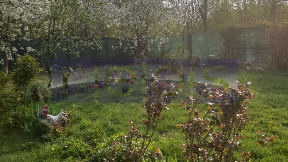 VANZARE VILA | P+1+M | ZONA NICOLAE GRIGORESCU - Poză 6