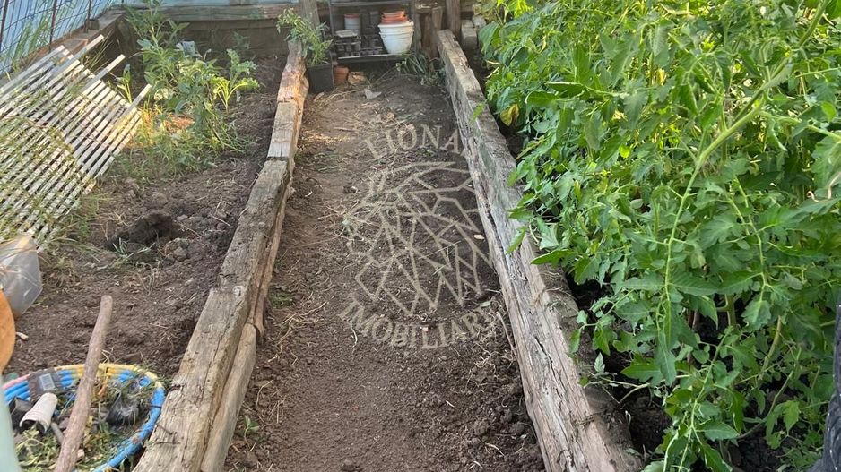 Casă ecologică 113 mp utili cu utilitati  + Teren 3100 mp, Balda, județul Mures - Poză 9