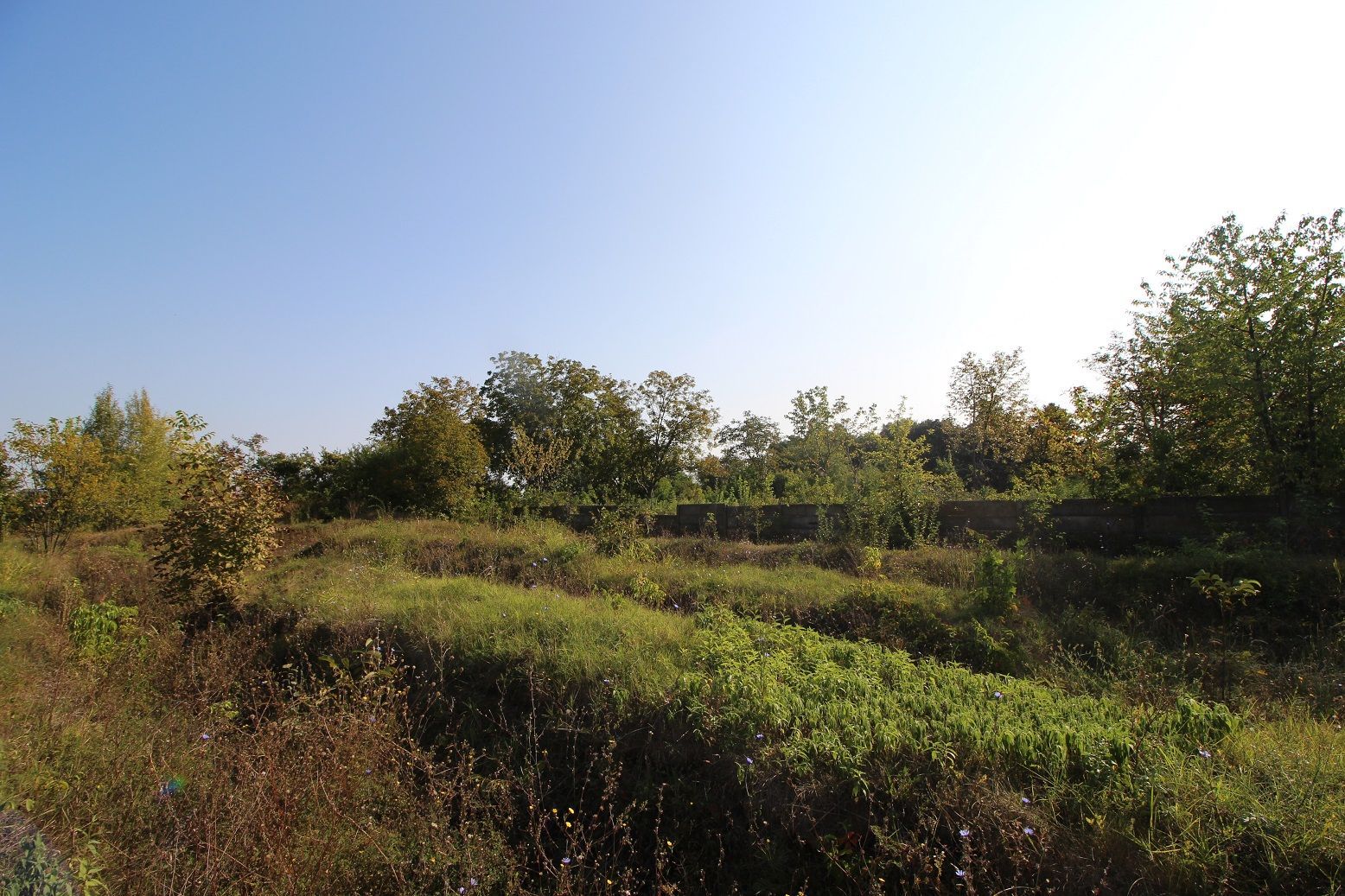 Teren 5963 mp deschidere lac Grivita 42 m cu deschidere la strazi 77 m - Poză 15