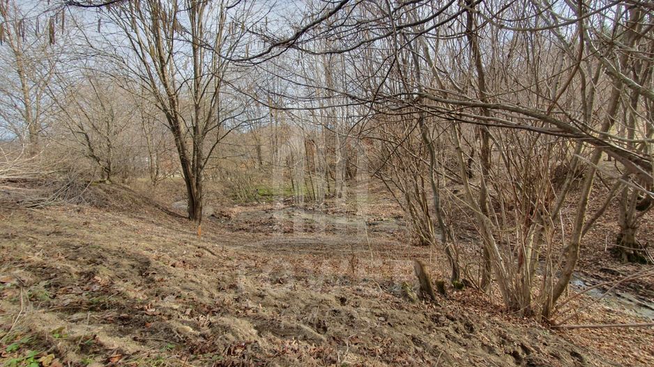 Teren Intravilan 2.938 mp | Tocile - Poză 5