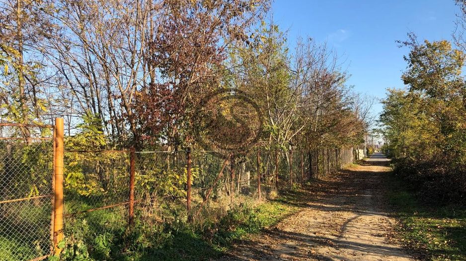 Teren intravilan de vanzare | 12.650 mp | Ghirdoveni | Comision 0% - Poză 8
