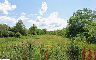 Intravilan Snagov la cel mai bun pret! - Poză 1