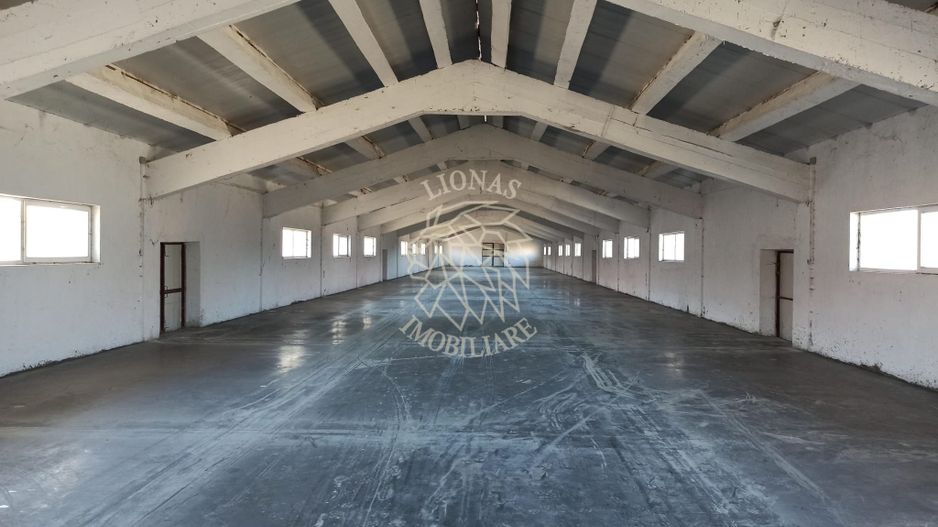2 Hale 1000 mp si 900 mp-teren 3400 mp-oportunitate-Livezile - Poză 1