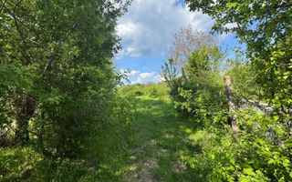 TEREN INTRAVILAN 2943 MP CAMPULUNG - Poză 8