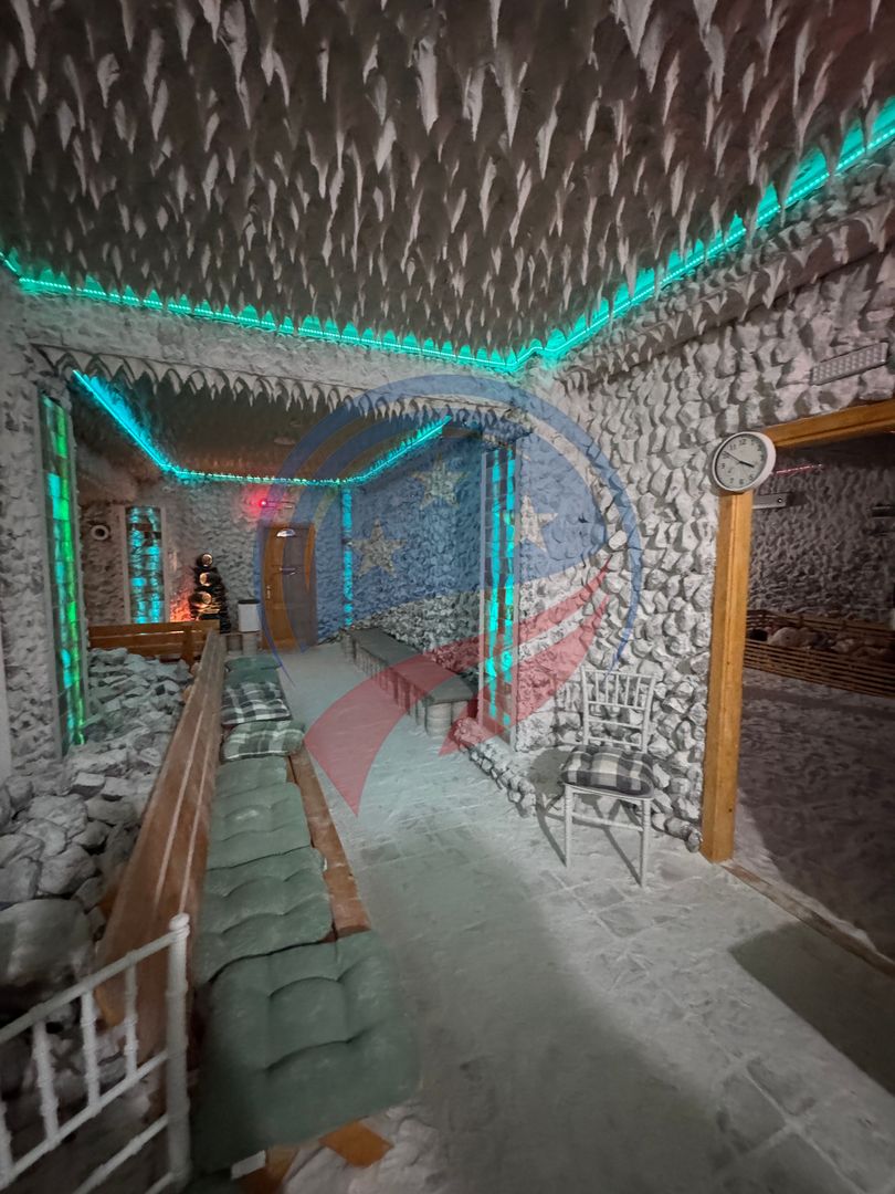RESTAURANT- AFACERE FUNCȚIONALĂ | BRANIȘTE/ Podari - Poză 19