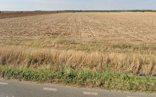 Teren extravilan localitatea Nuci, Ilfov - Poză 2