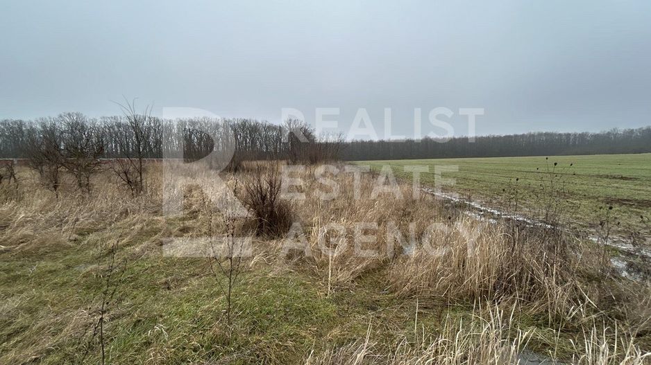 Teren intravilan de vânzare – 5.986 mp, Ciofliceni, Snagov (Ilfov) - Poză 1