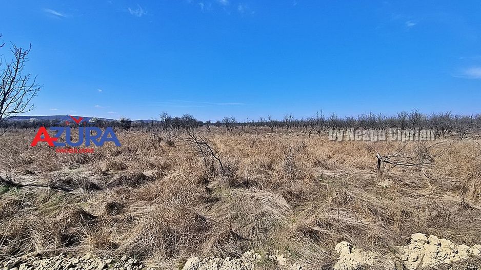 AZURA IMobiliare - Teren Iefin Bascov 3km de Giratoriu - Poză 7