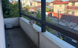 Casă spațioasă și confortabilă cu 5 camere - Sector 3 - Poză 15