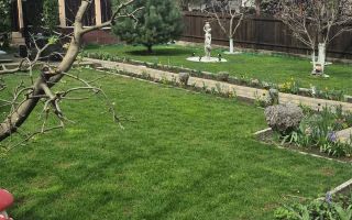 Casa individuală de vânzare, Lunca Cetățuii, 130 mp, 509 mp teren - Poză 10