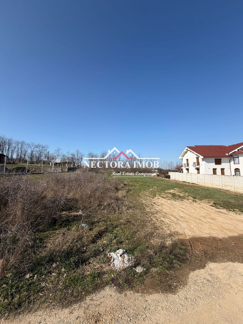 NECTORA IMOB-Teren Intravilan Lac Paleu, 886 mp, Front 27 ml,Utilitati - Poză 5