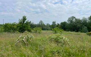 Teren intravilan***1439 mp***Cretesti-Vidra-Ilfov - Poză 16