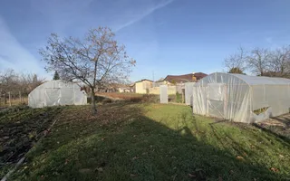 Casă 4 camere cu Teren 2.974 mp | Rezidență sau afacere | Carei - Poză 11