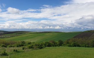 Teren | S+P+E | S+P+M | Intravilan | 9826 MP | Sura Mare - Poză 4