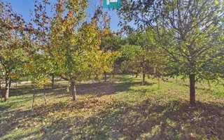 Casă cu 3 dormitoare în Bătania - Poză 27